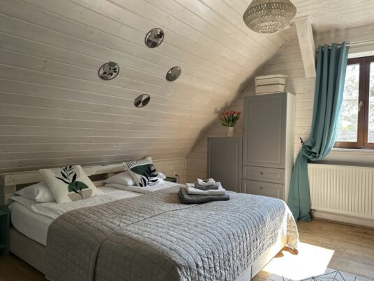 ŻABKORAKI - Galeria, zdjęcie: apartamenty nad jeziorem Serwy - SIRVIS - Suwalszczyzna