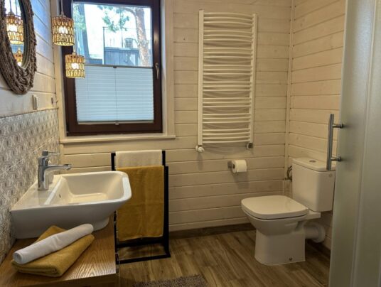 KORMORANY - Galeria, zdjęcie: apartamenty nad jeziorem Serwy - SIRVIS - Suwalszczyzna