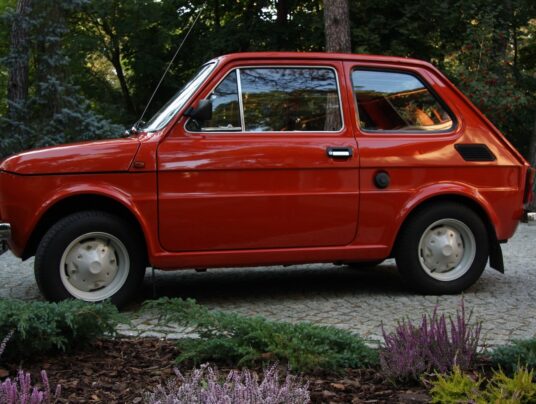 SIRVIS-owe podróże w czasie, zdjęcie: tak wyglądam - SIRVIS - Suwalszczyzna