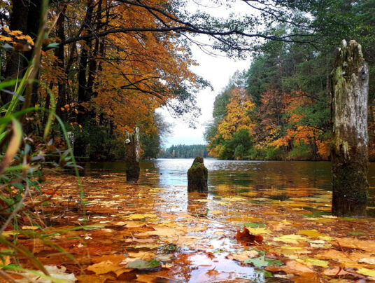 SIRVIS okolice, zdjęcie: Kanał Augustowski - SIRVIS - Suwalszczyzna