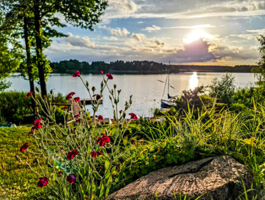 SIRVIS teren, zdjęcie: PSX 20220713 230833