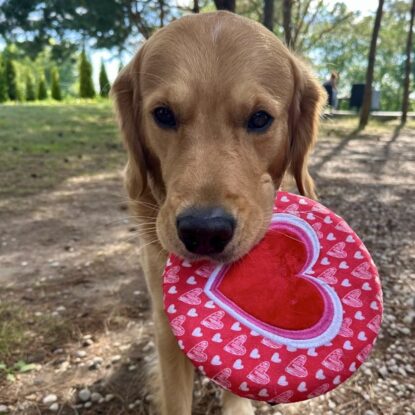 SIRVIS nad Jeziorem Serwy - wspólnie trenujemy i pomagamy tym w potrzebie